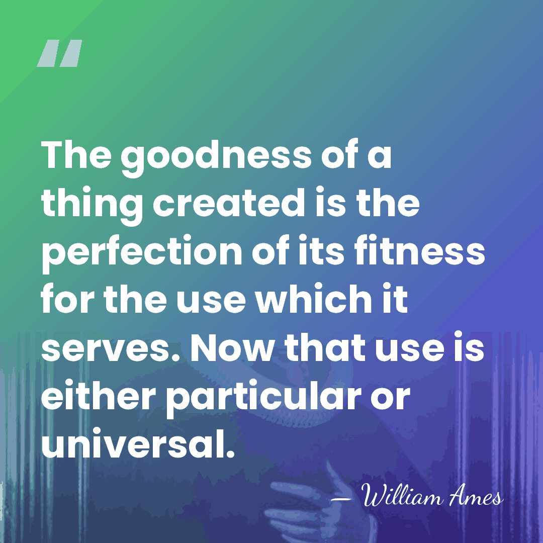 The goodness of a thing created is the perfection of its fitness&hellip; - William Ames