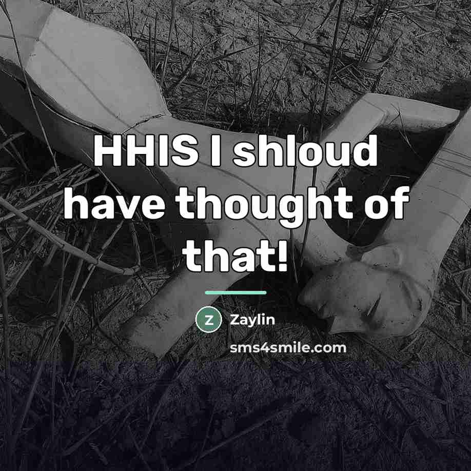 “HHIS I shloud have thought of that!…” quote by Zaylin