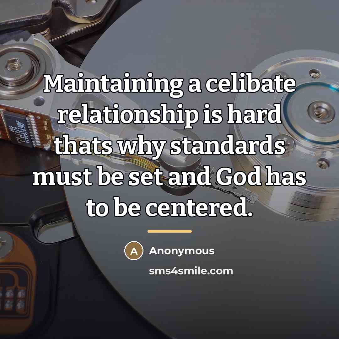 “Maintaining a celibate relationship is hard thats why standards must…” quote by Anonymous
