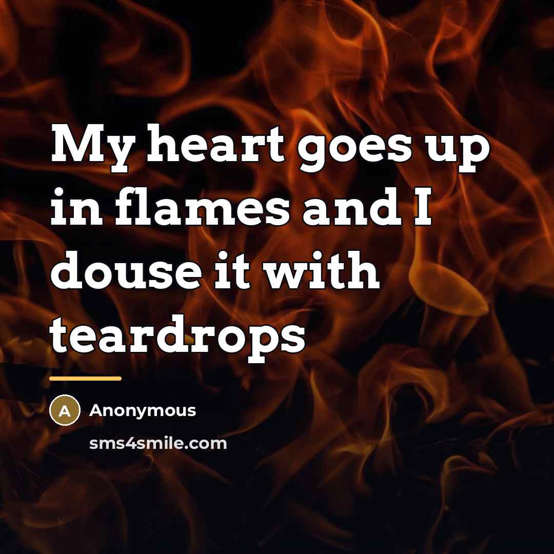 “My heart goes up in flames and I douse it…” quote by Anonymous