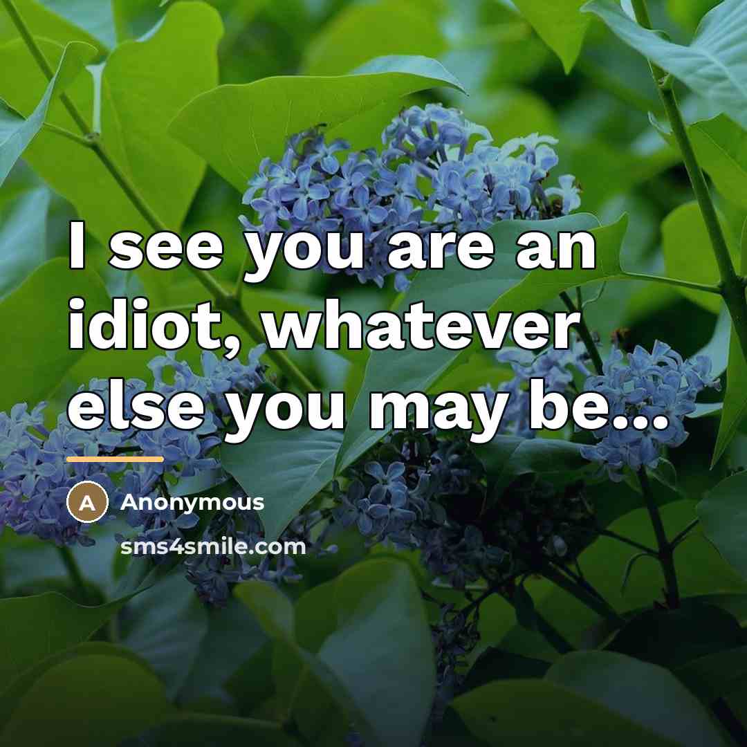 “I see you are an idiot, whatever else you may…” quote by Anonymous