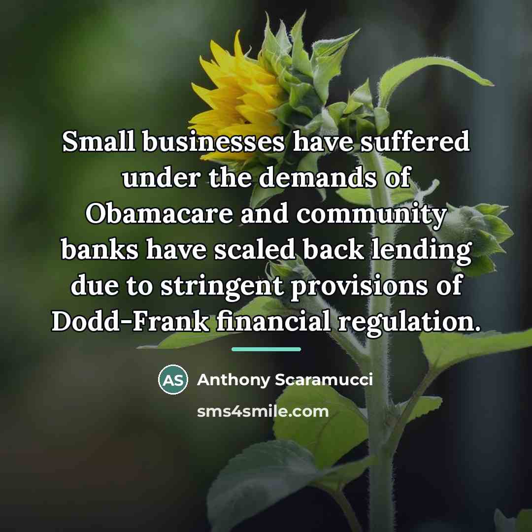 “Small businesses have suffered under the demands of Obamacare and…” quote by Anthony Scaramucci