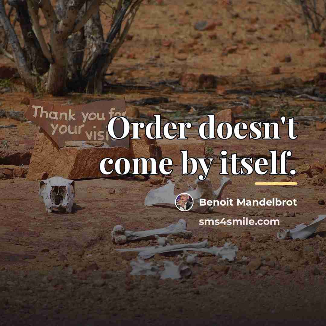 “Order doesn't come by itself.…” quote by Benoit Mandelbrot