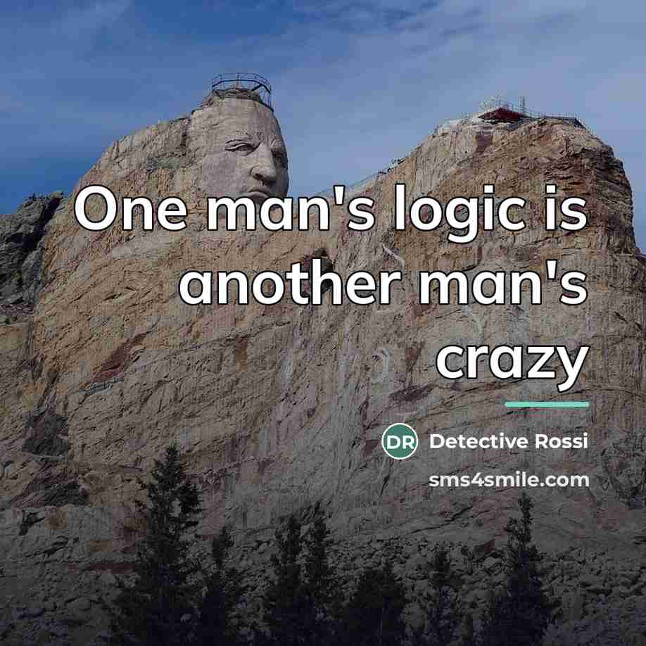 “One man's logic is another man's crazy…” quote by Detective Rossi