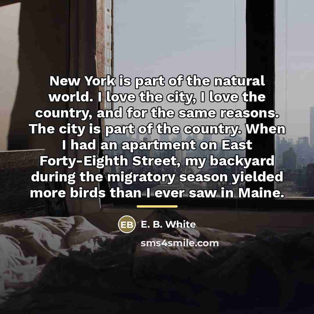 “New York is part of the natural world. I love…” quote by E. B. White