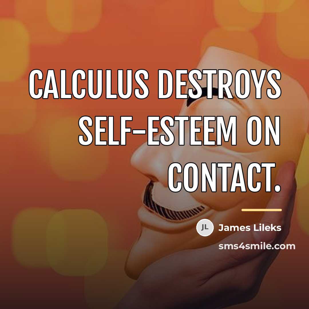 “Calculus destroys self-esteem on contact.…” quote by James Lileks