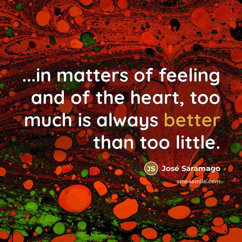 “...in matters of feeling and of the heart, too much is always better than too little.” quote by Jose Saramago