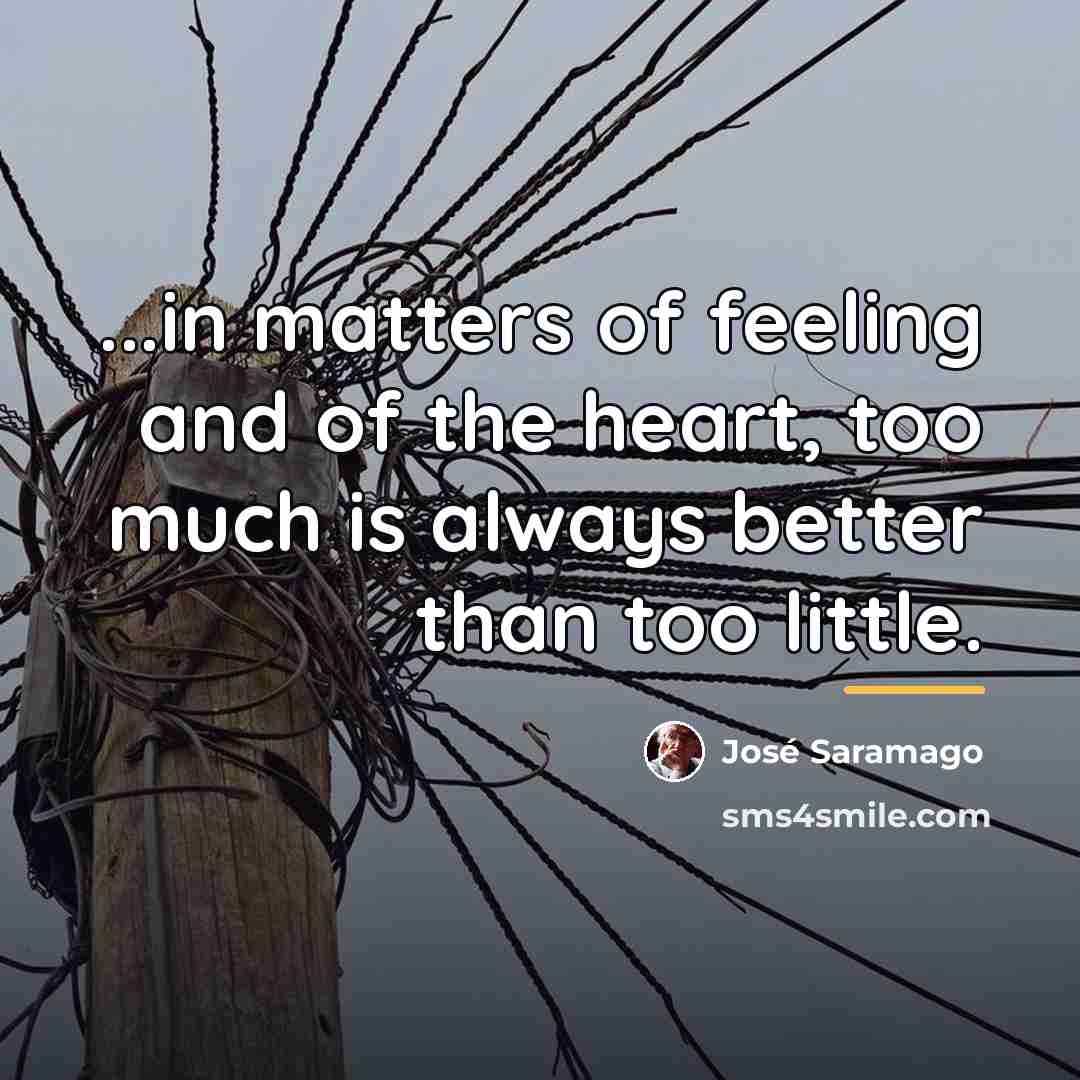 “...in matters of feeling and of the heart, too much…” quote by Jose Saramago