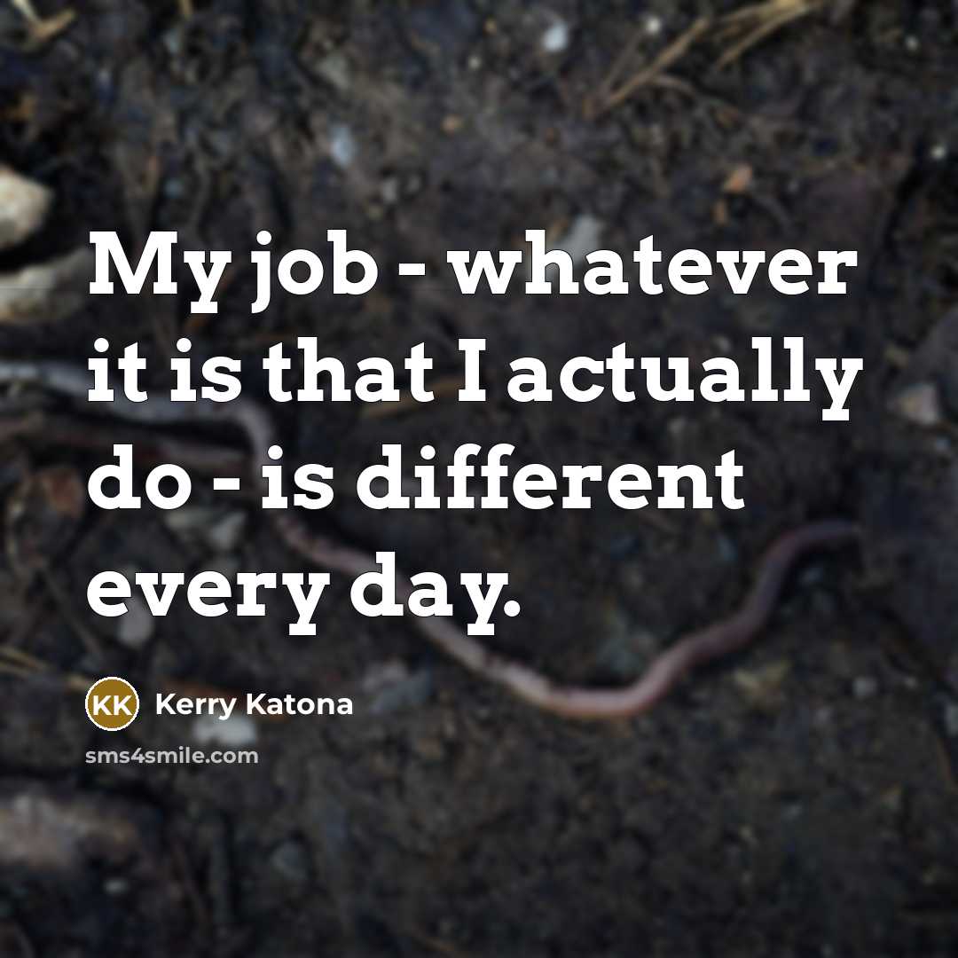 “My job - whatever it is that I actually do…” quote by Kerry Katona