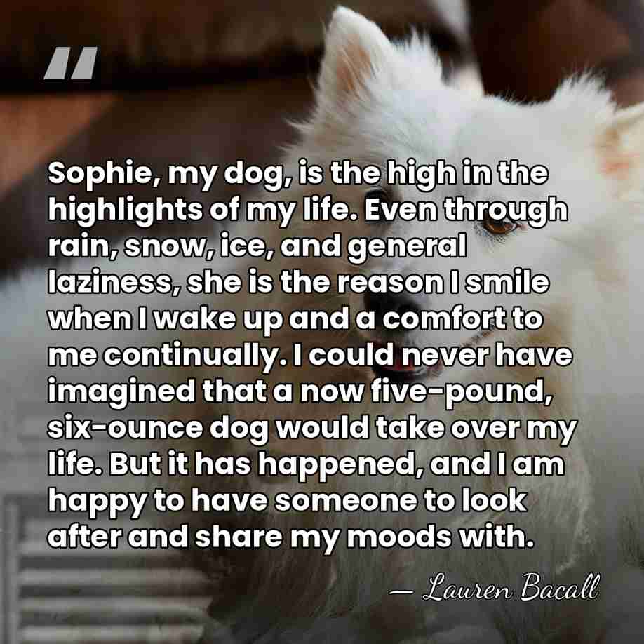 Sophie, my dog, is the high in the highlights of my life.&hellip; - Lauren Bacall