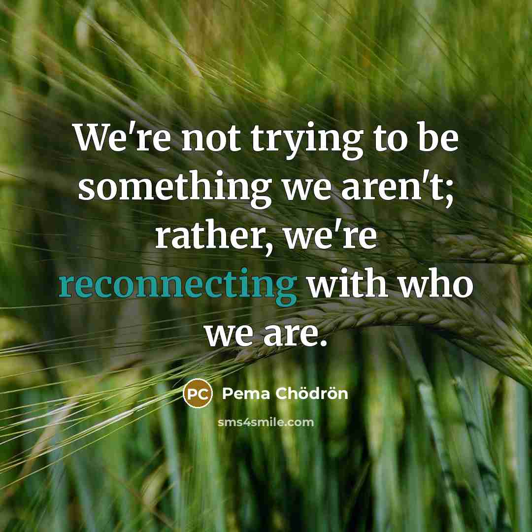 “We're not trying to be something we aren't; rather, we're…” quote by Pema Chodron