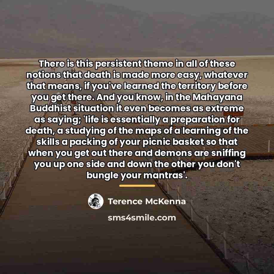 “There is this persistent theme in all of these notions…” quote by Terence McKenna