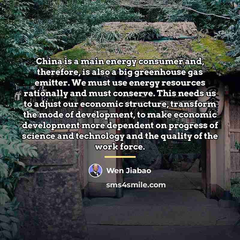 “China is a main energy consumer and, therefore, is also…” quote by Wen Jiabao