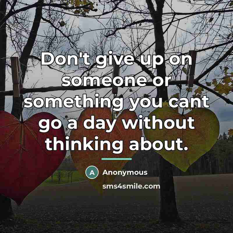 “Don't give up on someone or something you cant go…” quote by Anonymous