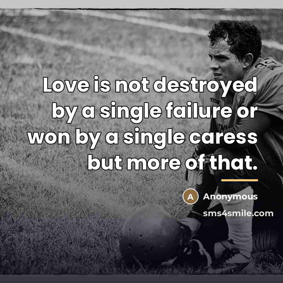 “Love is not destroyed by a single failure or won…” quote by Anonymous