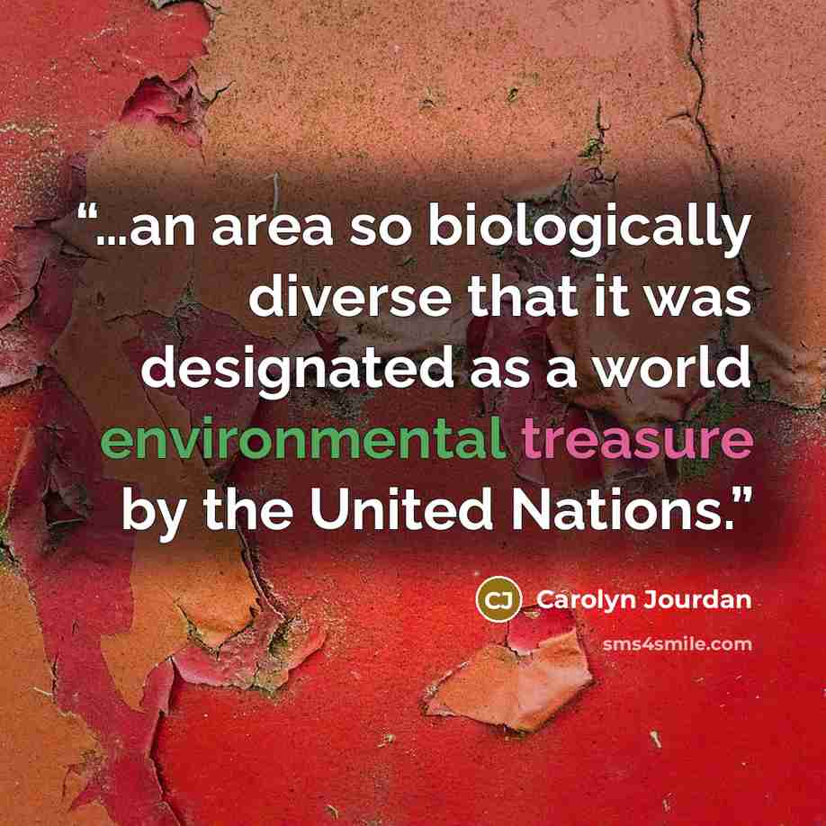 “…an area so biologically diverse that it was designated as a world environmental treasure by the United Nations.” quote by Carolyn Jourdan