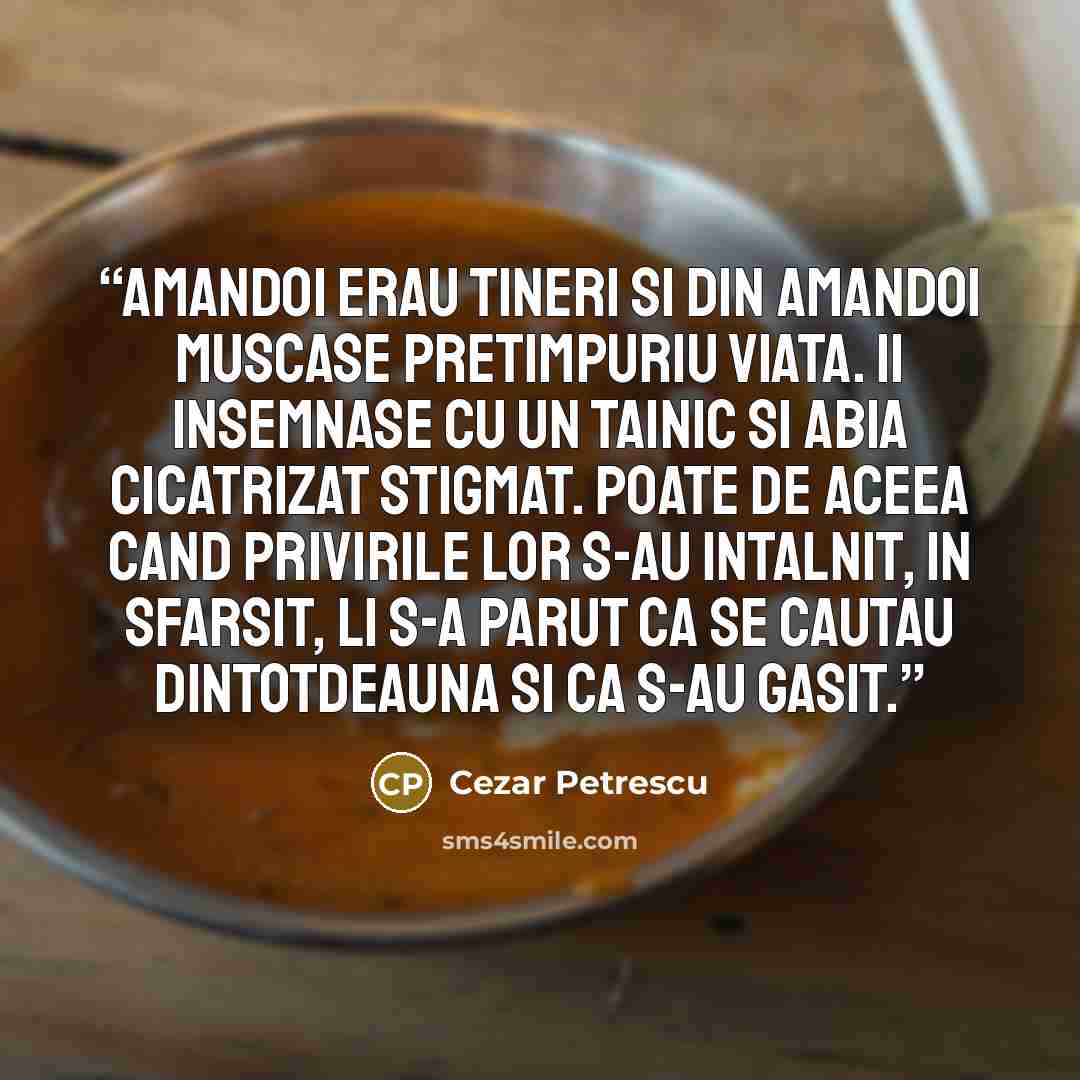 “Amandoi erau tineri si din amandoi muscase pretimpuriu viata. Ii insemnase cu un tainic si abia cicatrizat stigmat. Poate de aceea cand privirile lor s-au intalnit, in sfarsit, li s-a parut ca se cautau dintotdeauna si ca s-au gasit.” quote by Cezar Petrescu