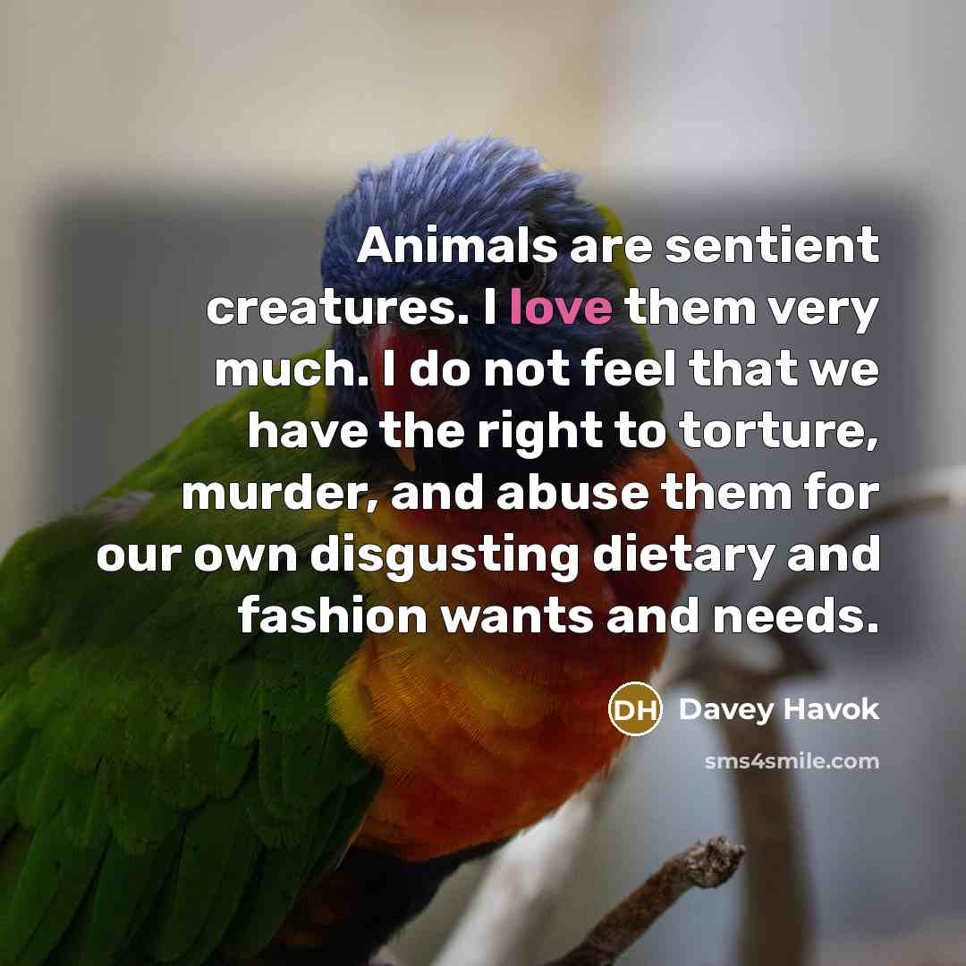 “Animals are sentient creatures. I love them very much. I…” quote by Davey Havok