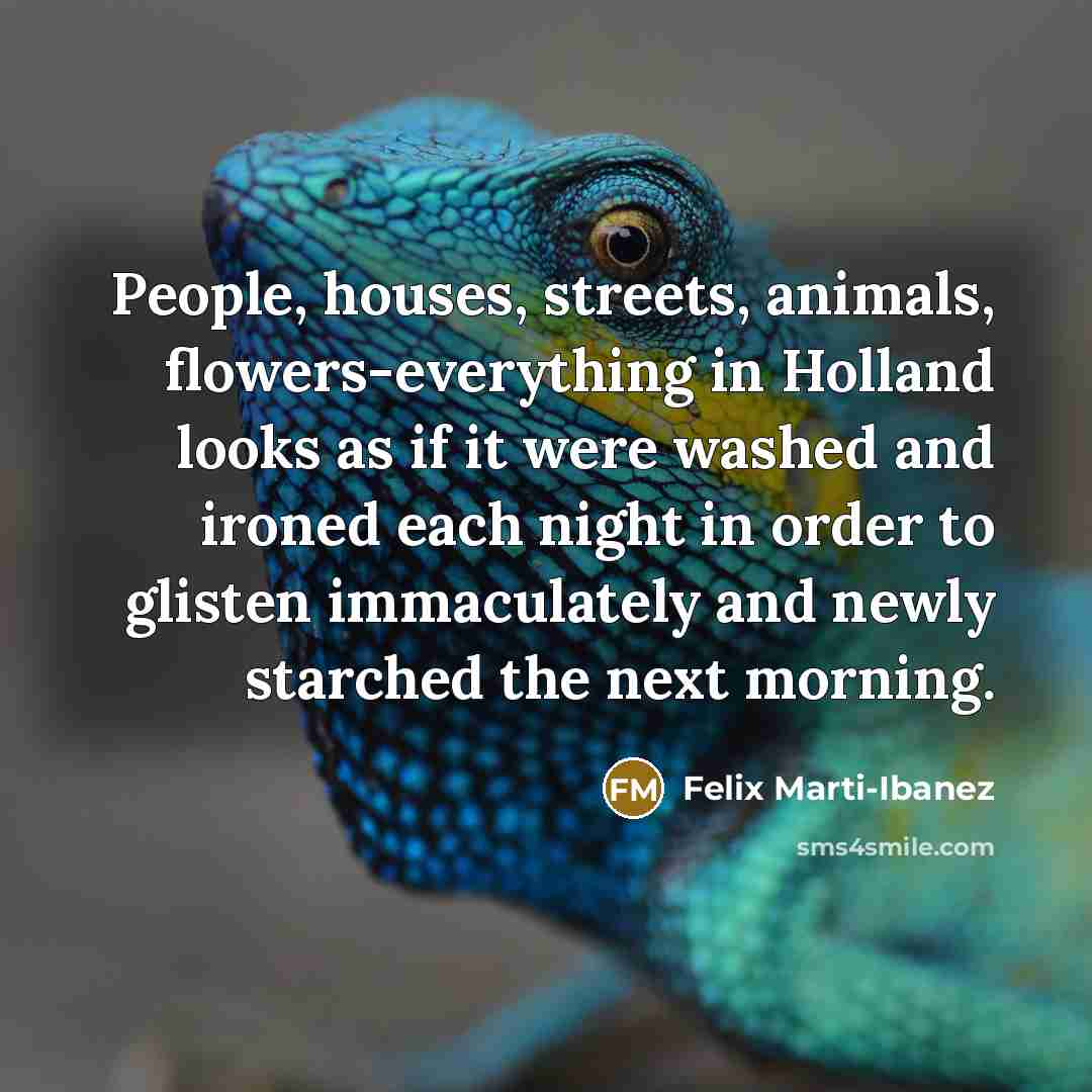 “People, houses, streets, animals, flowers-everything in Holland looks as if…” quote by Felix Marti-Ibanez