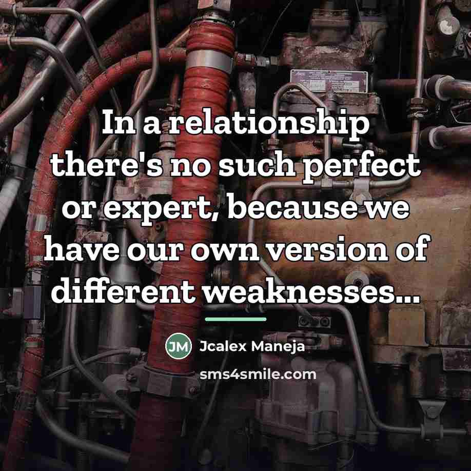 “In a relationship there's no such perfect or expert, because…” quote by Jcalex Maneja