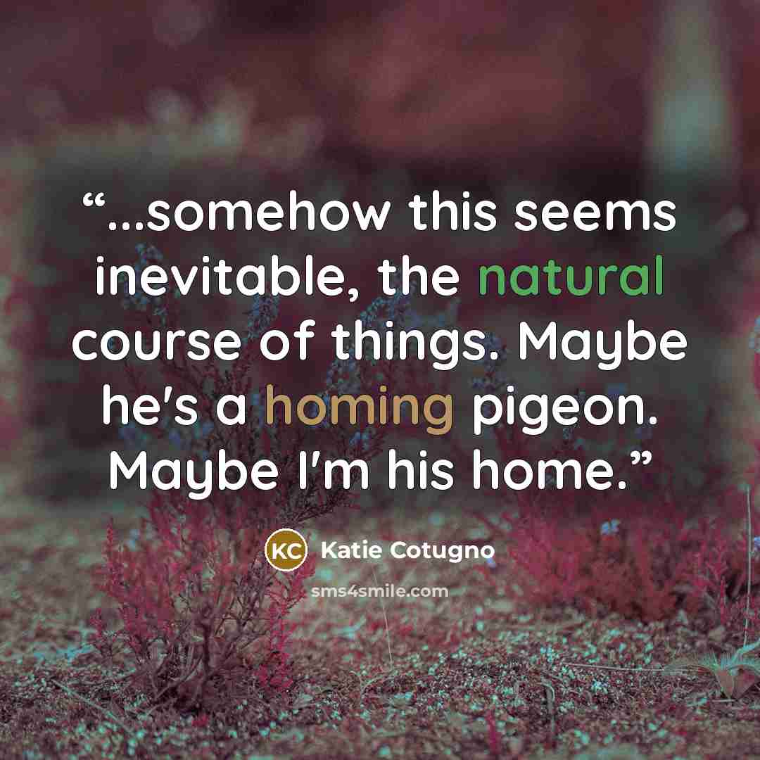 “...somehow this seems inevitable, the natural course of things. Maybe he's a homing pigeon. Maybe I'm his home.” quote by Katie Cotugno