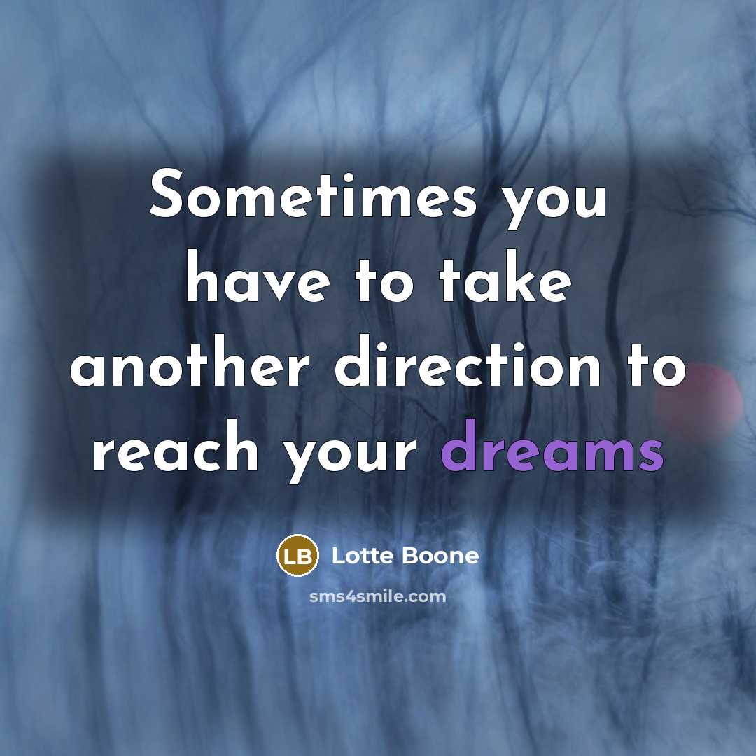 “Sometimes you have to take another direction to reach your…” quote by Lotte Boone