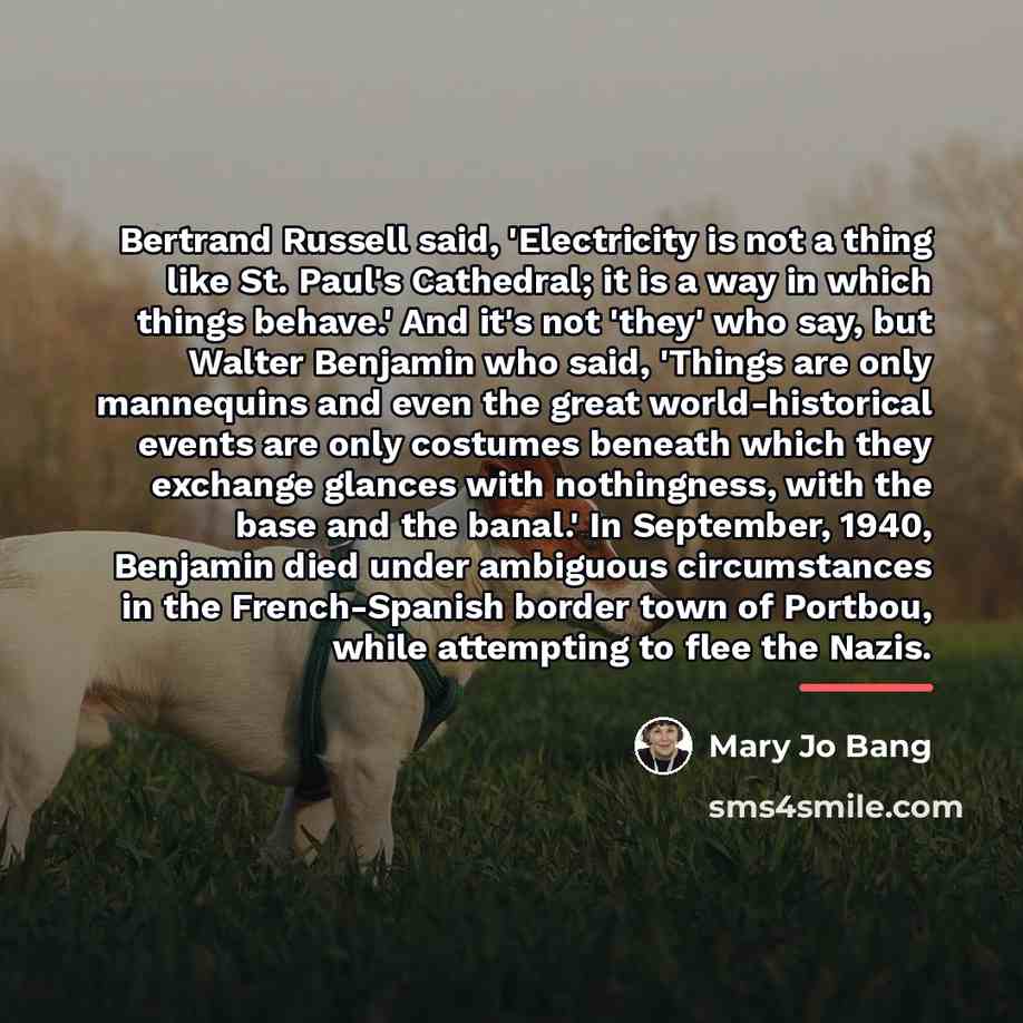 “Bertrand Russell said, 'Electricity is not a thing like St.…” quote by Mary Jo Bang