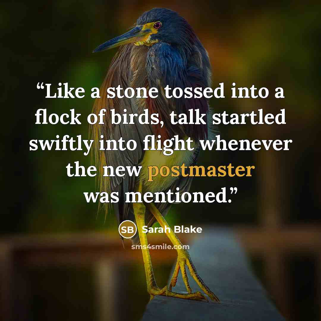 “Like a stone tossed into a flock of birds, talk startled swiftly into flight whenever the new postmaster was mentioned.” quote by Sarah Blake