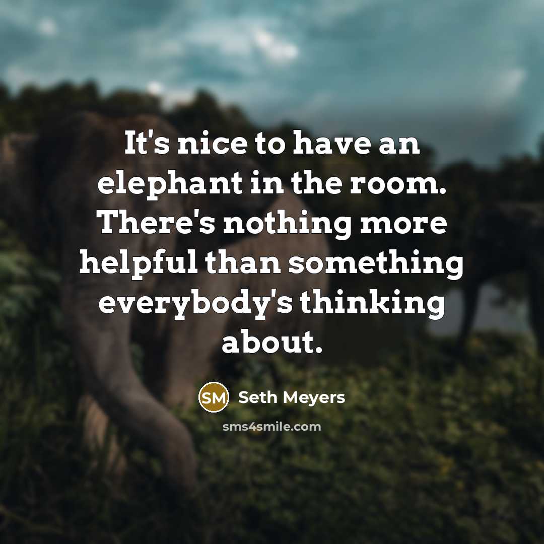“It's nice to have an elephant in the room. There's…” quote by Seth Meyers