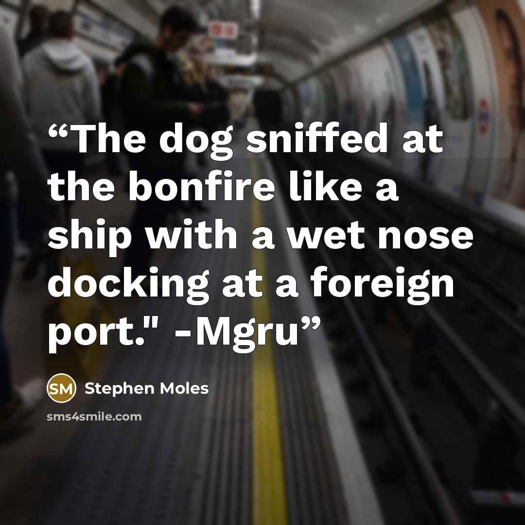 “The dog sniffed at the bonfire like a ship with a wet nose docking at a foreign port." -Mgru” quote by Stephen Moles