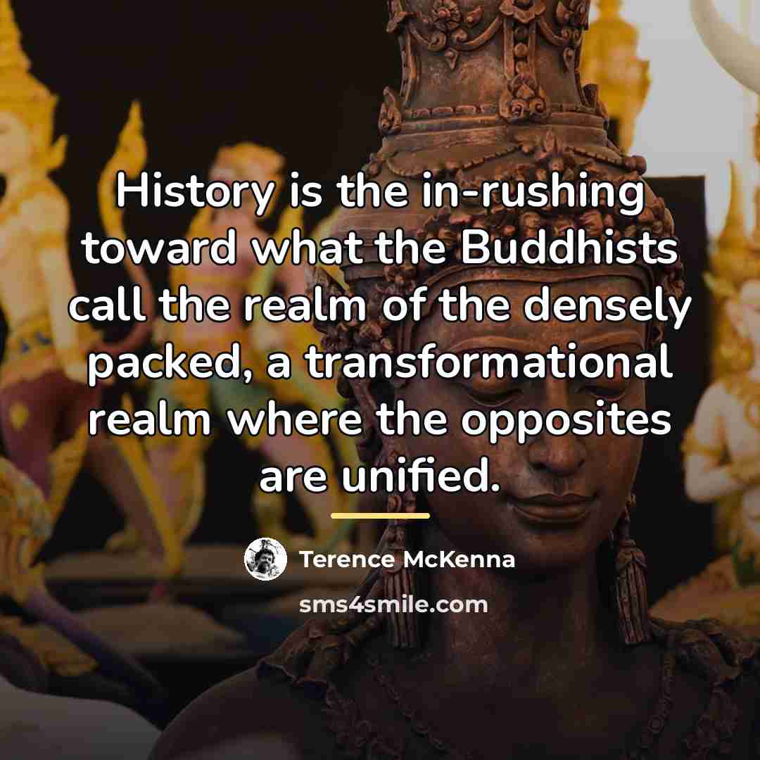 “History is the in-rushing toward what the Buddhists call the…” quote by Terence McKenna