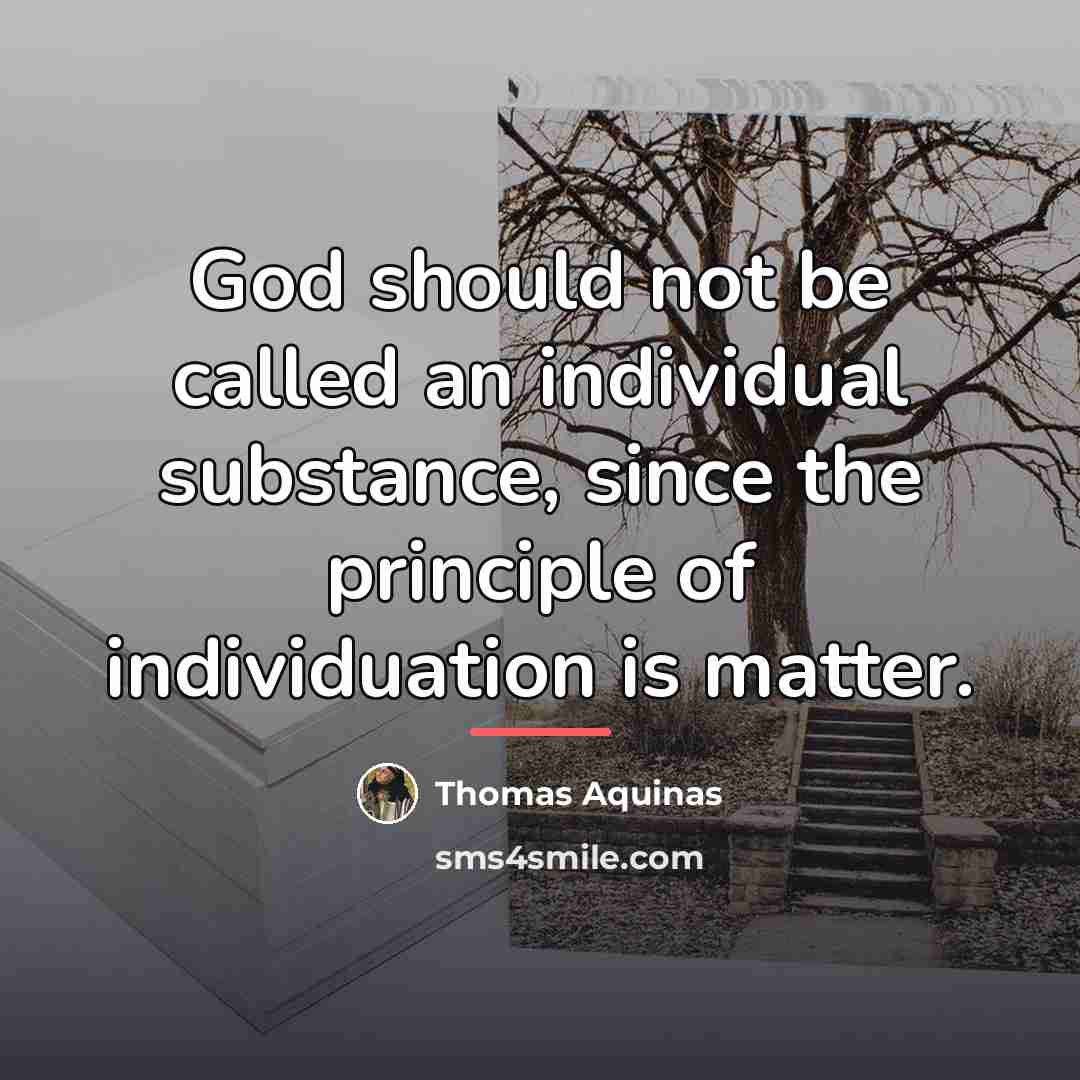 “God should not be called an individual substance, since the…” quote by Thomas Aquinas