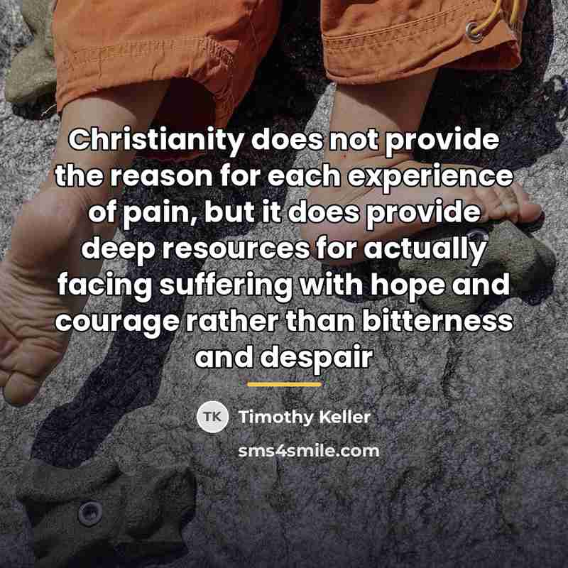 “Christianity does not provide the reason for each experience of…” quote by Timothy Keller