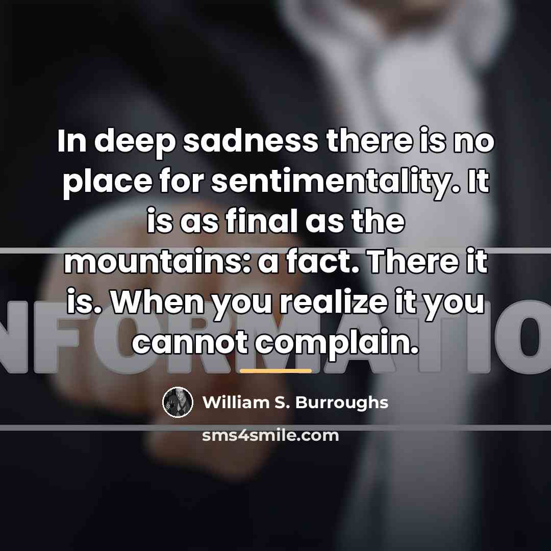 “In deep sadness there is no place for sentimentality. It…” quote by William S. Burroughs