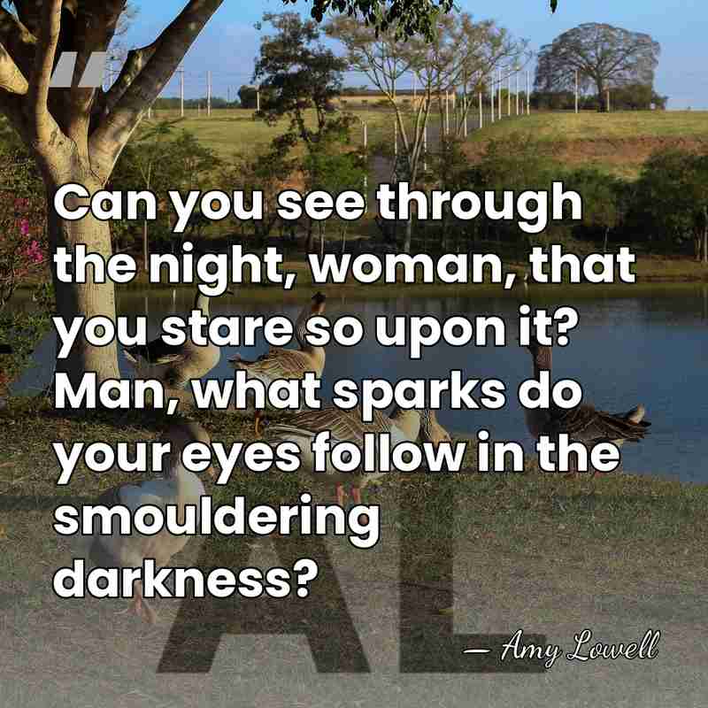 Can you see through the night, woman, that you stare so upon&hellip; - Amy Lowell