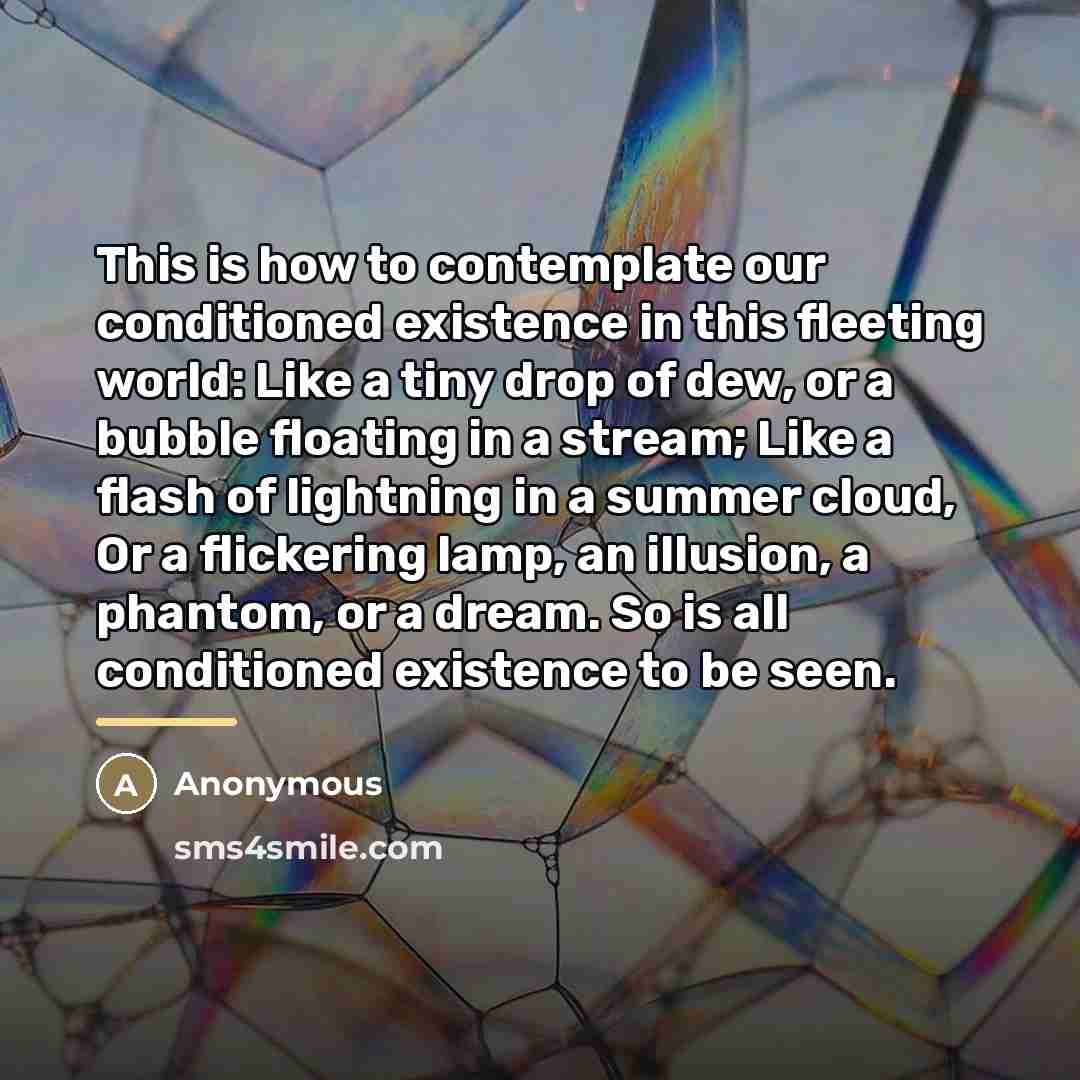 “This is how to contemplate our conditioned existence in this…” quote by Anonymous