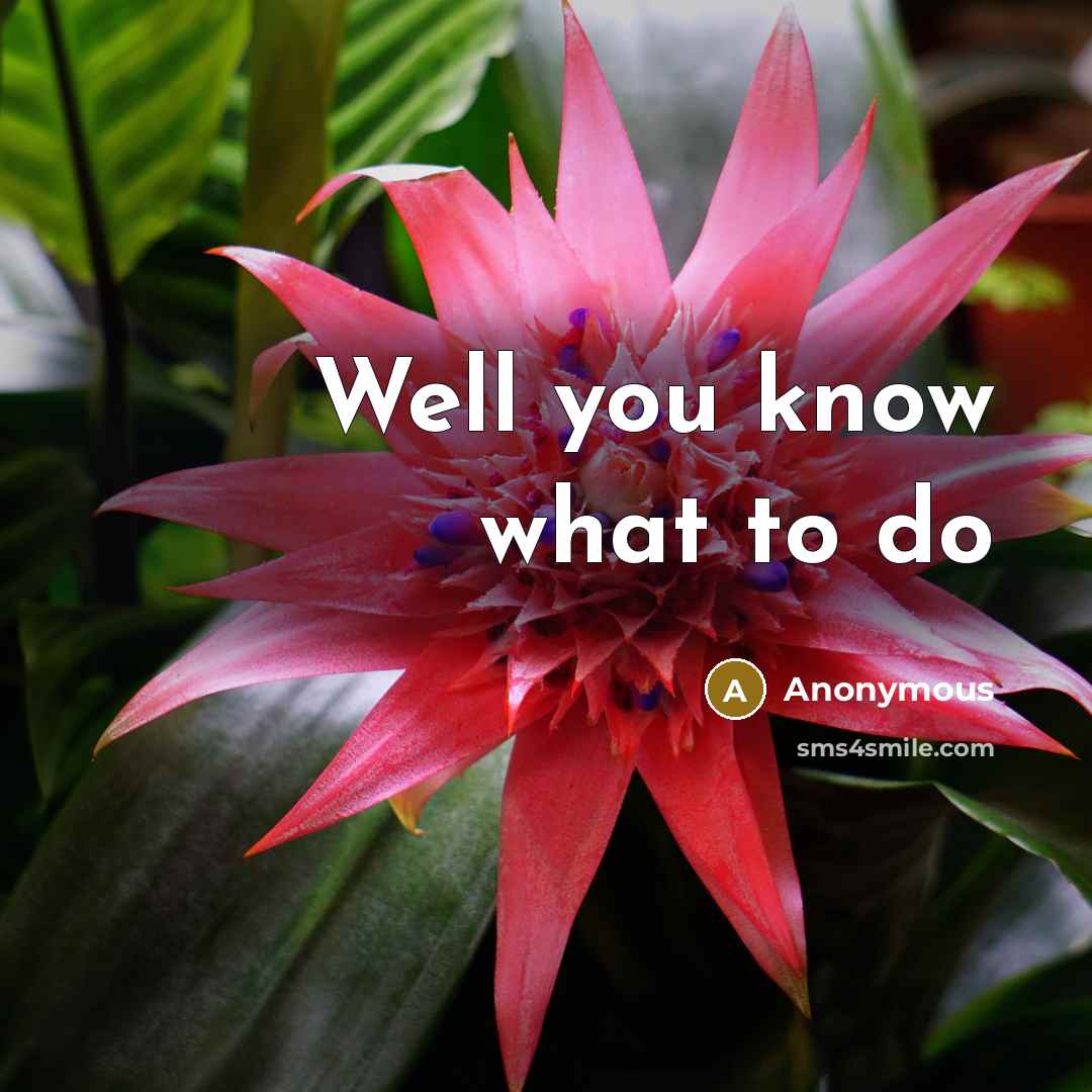 “Well you know what to do…” quote by Anonymous