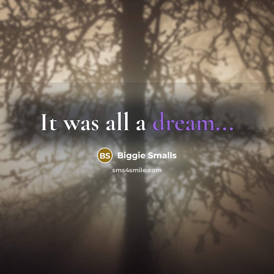 “It was all a dream...…” quote by Biggie Smalls