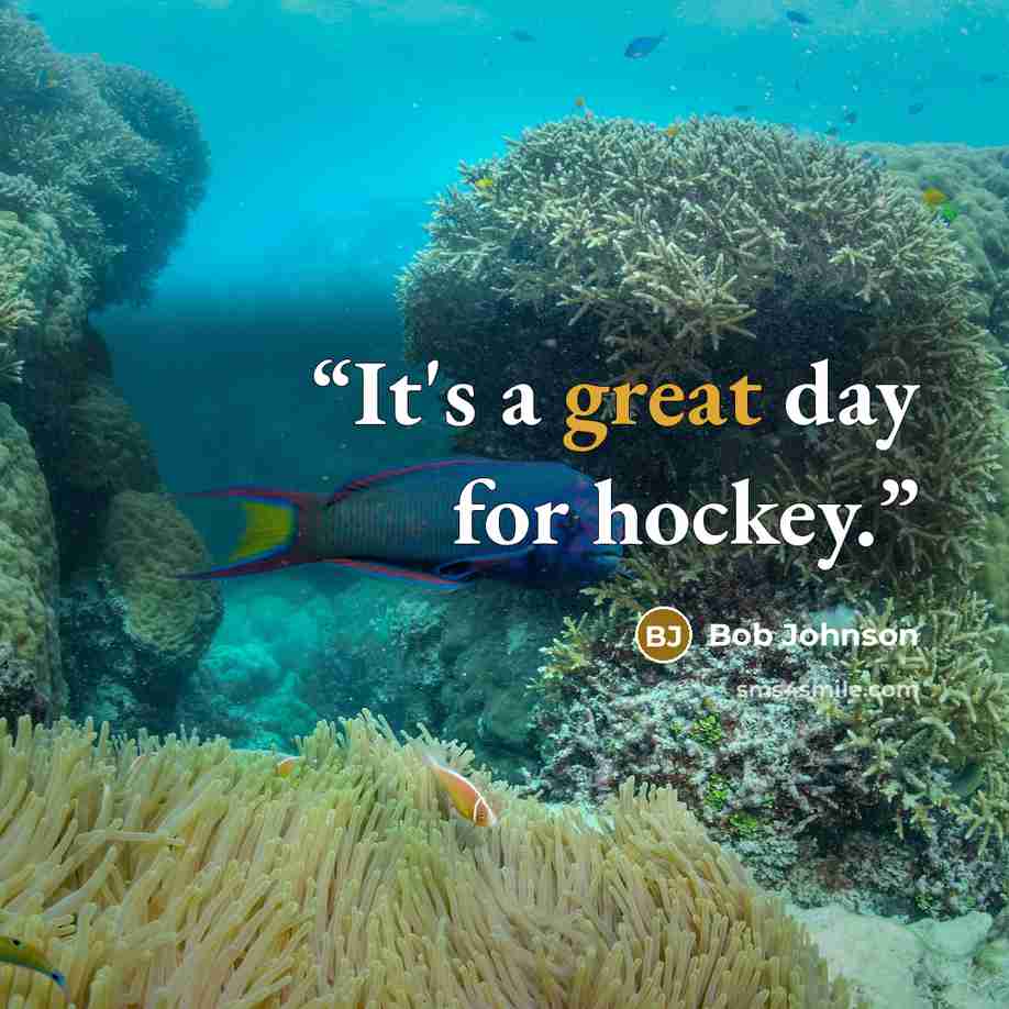 “It's a great day for hockey.” quote by Bob Johnson