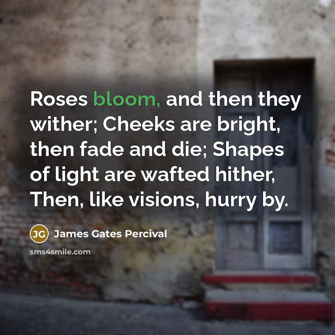“Roses bloom, and then they wither; Cheeks are bright, then…” quote by James Gates Percival