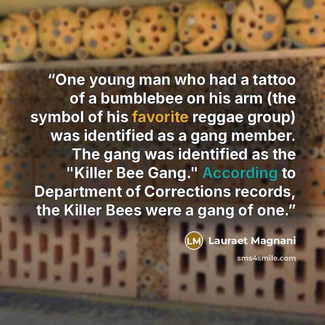 “One young man who had a tattoo of a bumblebee on his arm (the symbol of his favorite reggae group) was identified as a gang member. The gang was identified as the "Killer Bee Gang." According to Department of Corrections records, the Killer Bees were a gang of one.” quote by Lauraet Magnani