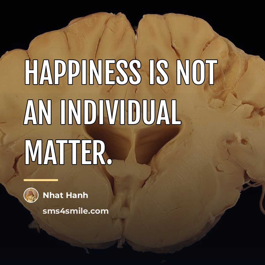 “Happiness is not an individual matter.…” quote by Nhat Hanh