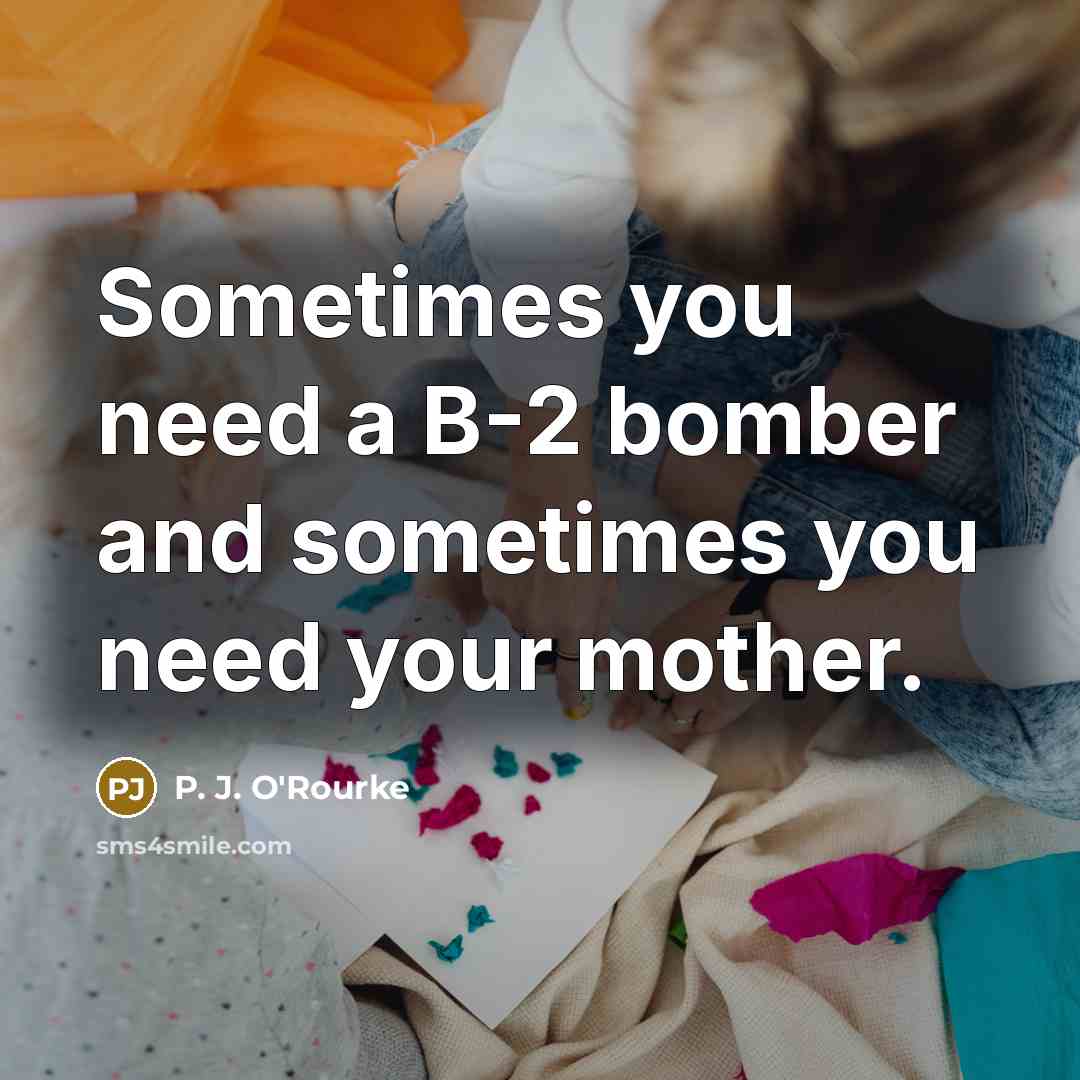“Sometimes you need a B-2 bomber and sometimes you need…” quote by P. J. O'Rourke