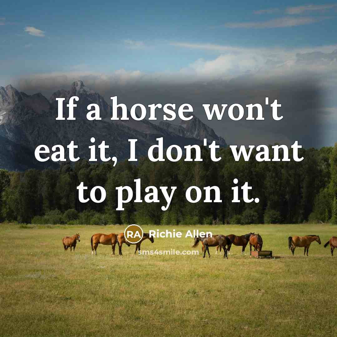 “If a horse won't eat it, I don't want to…” quote by Richie Allen