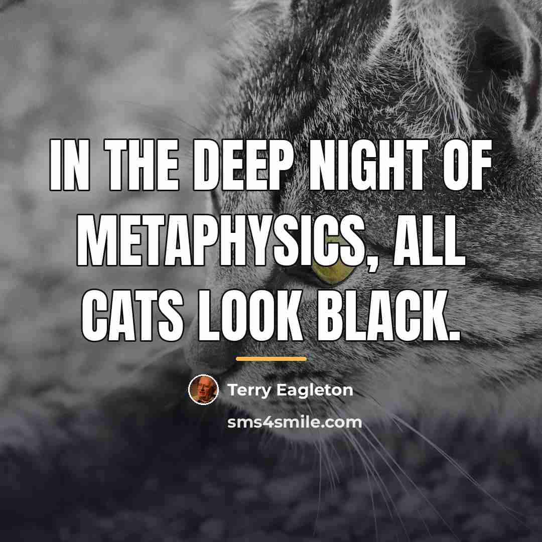 “In the deep night of metaphysics, all cats look black.…” quote by Terry Eagleton