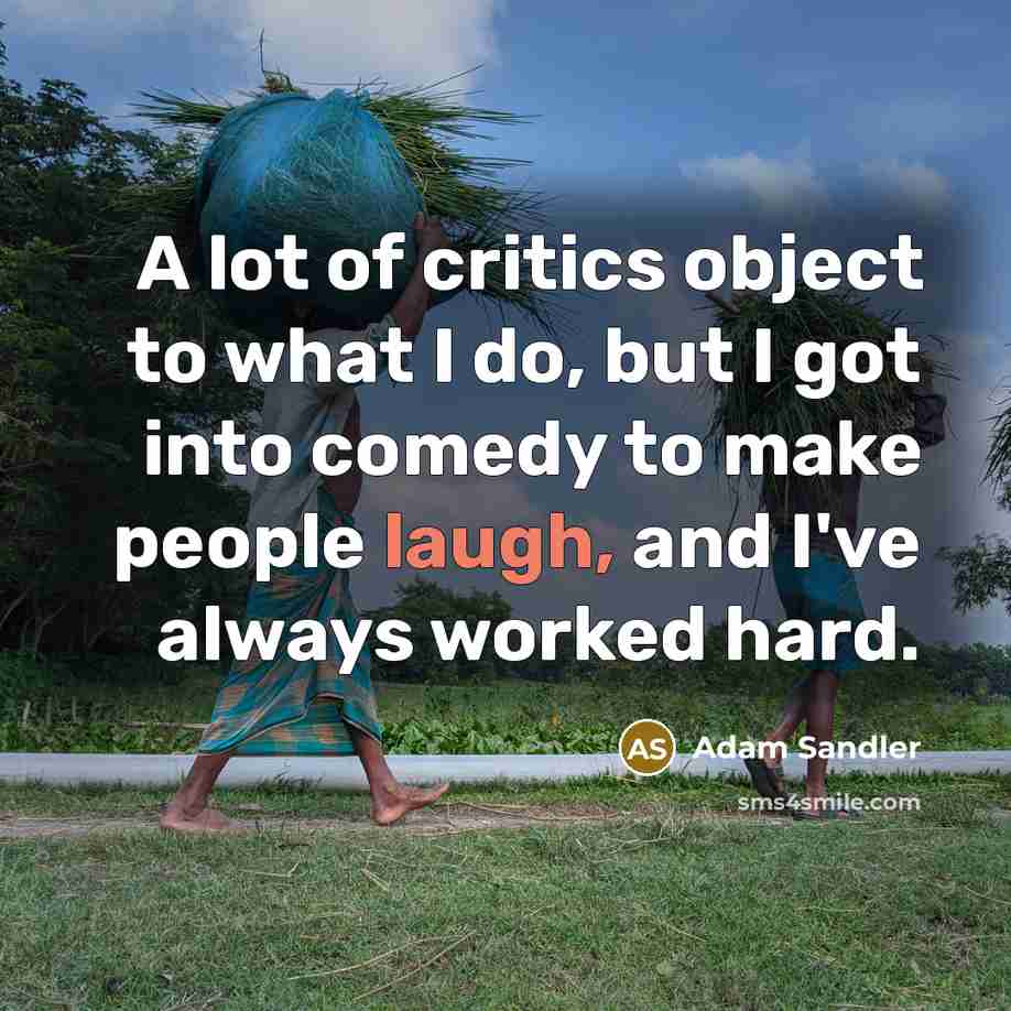 “A lot of critics object to what I do, but…” quote by Adam Sandler