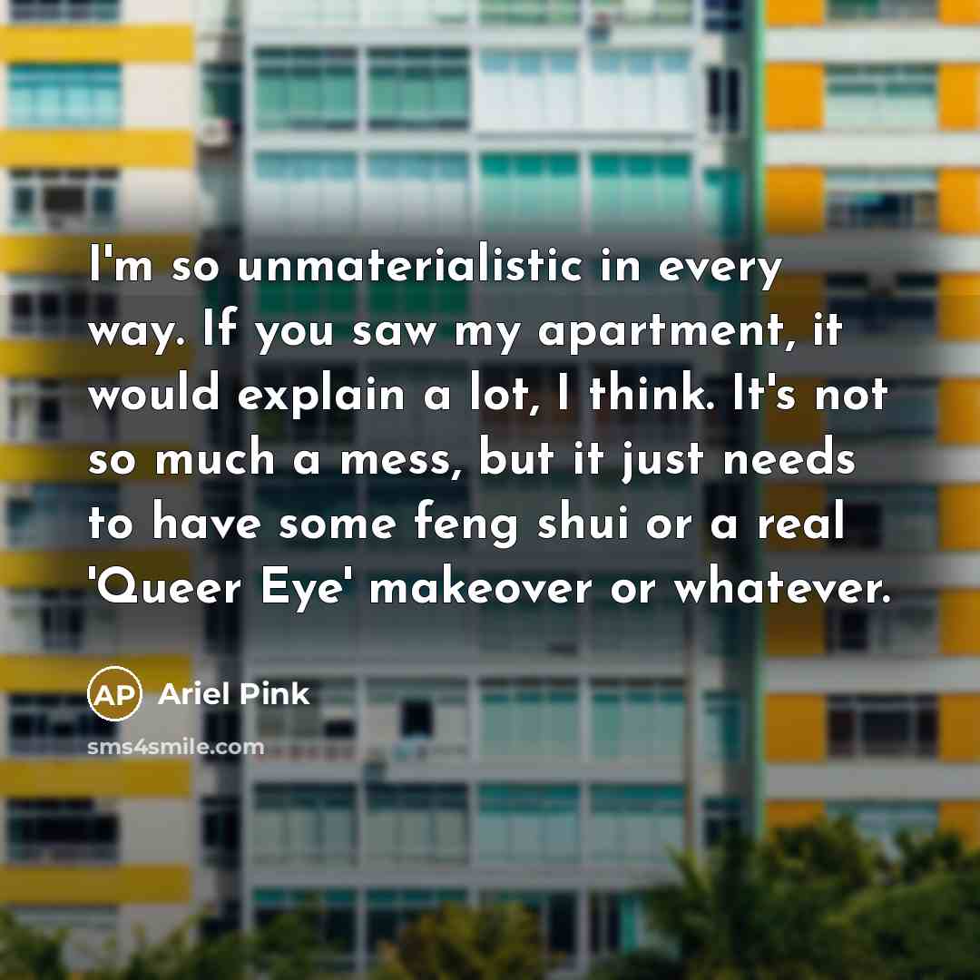 “I'm so unmaterialistic in every way. If you saw my…” quote by Ariel Pink