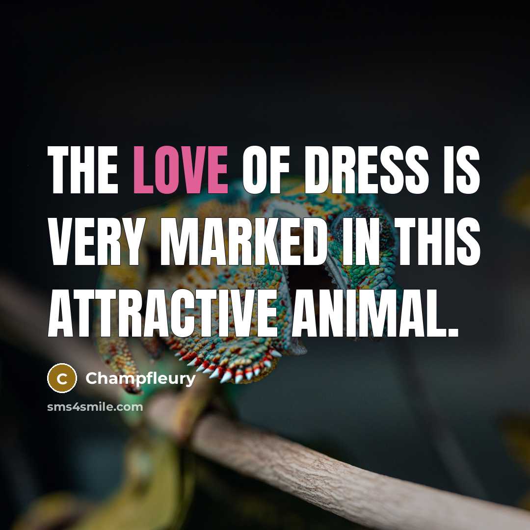 “The love of dress is very marked in this attractive…” quote by Champfleury