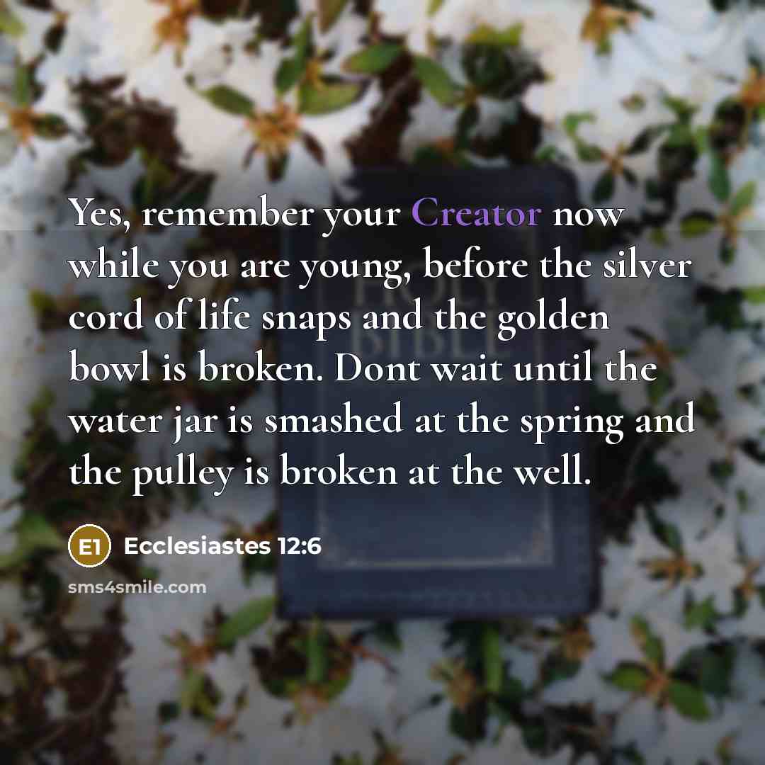“Yes, remember your Creator now while you are young, before the silver cord of life snaps and the golden bowl is broken. Dont wait until the water jar is smashed at the spring and the pulley is broken at the well.” quote by Ecclesiastes 12:6