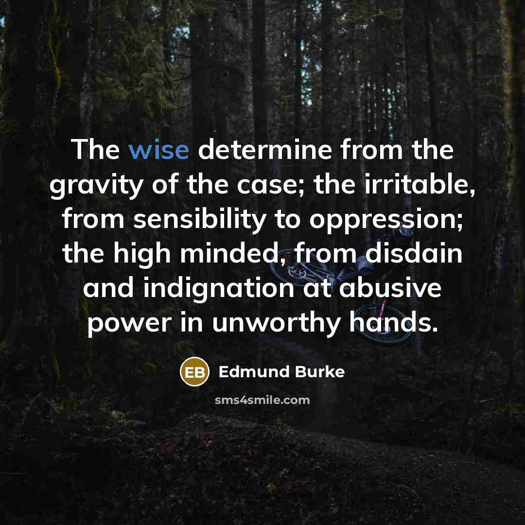 “The wise determine from the gravity of the case; the…” quote by Edmund Burke
